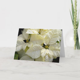White Poinsettias Feestdagen Kaart