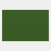 White Poinsettias on Green Background Inpakpapier Vel (Voorkant 3)