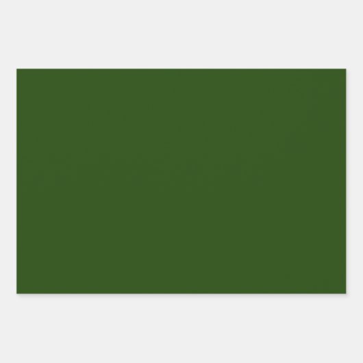 White Poinsettias on Green Background Inpakpapier Vel (Voorkant 3)