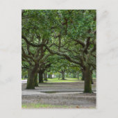 White Point Gardens Painterly Briefkaart (Voorkant)