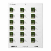 White Point Gardens Painterly Etiket (Full Sheet)