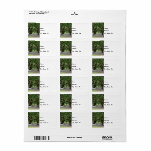 White Point Gardens Painterly Etiket (Full Sheet)