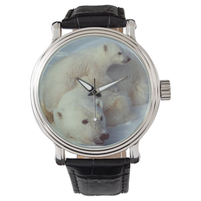 White Polar Beer familie Horloge (Voorkant)