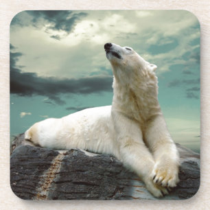 White Polar Beer Hunter op rock Bier Onderzetter