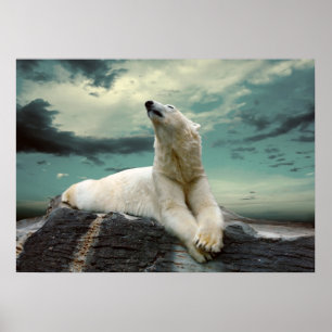 White Polar Beer Hunter op rock Poster