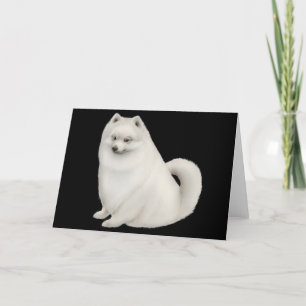 White Pomeranian Dog Wenskaart Kaart