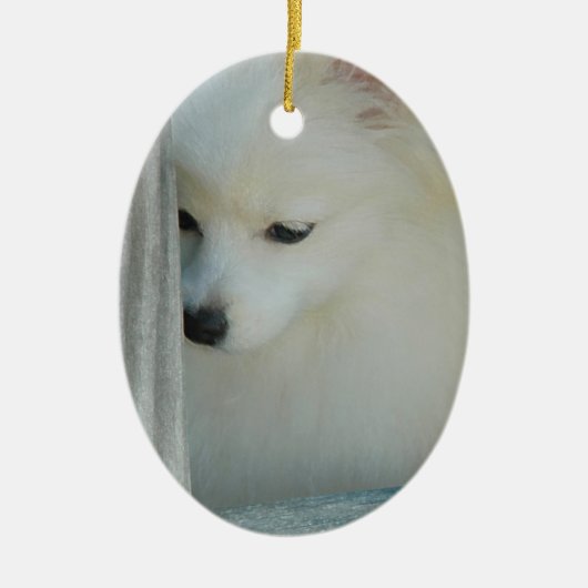 White Pomeranian Keramisch Ornament (Voorkant)