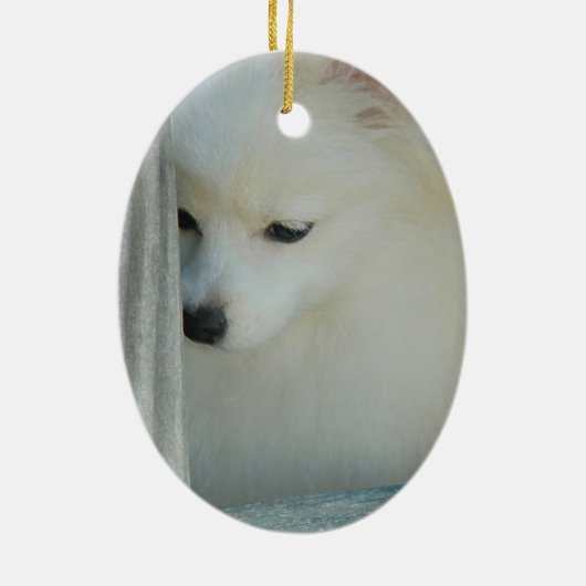 White Pomeranian Keramisch Ornament (Achterkant)