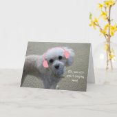 White Poodle Birthday Card by Focus for a Cause Kaart (Gele Bloem)
