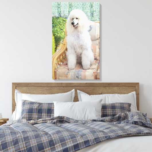 White Poodle Canvas Afdruk (Insitu (Slaapkamer))