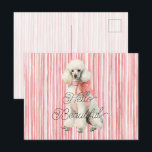 White Poodle Dog Hello Beautiful Briefkaart<br><div class="desc">White Poodle Dog Hello Beautiful</div>