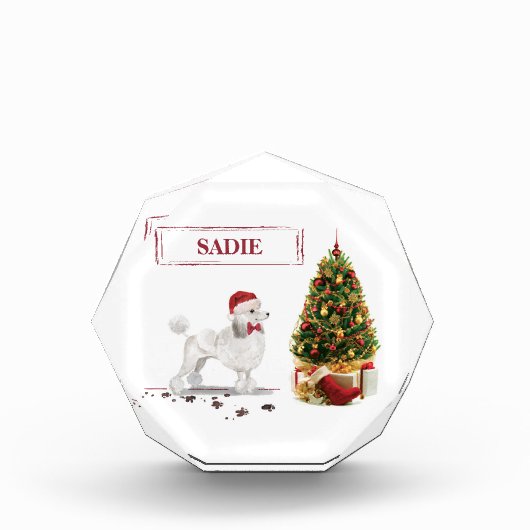 White Poodle Funny-kersthond met boom Fotoblokken (Voorkant)