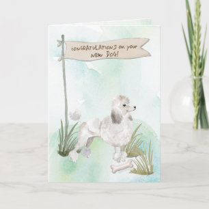 White Poodle Gefeliciteerd met nieuwe hond Kaart