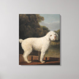 White Poodle in a Punt (door George Stubbs) Canvas Afdruk