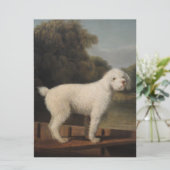 White Poodle in a Punt (door George Stubbs) Kaart (Staand voorkant)