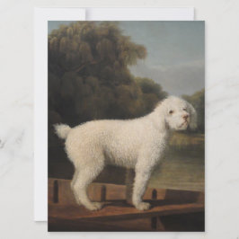 White Poodle in a Punt (door George Stubbs) Kaart