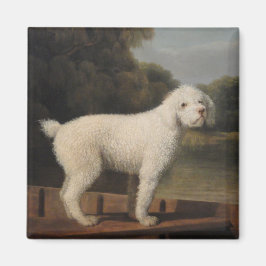 White Poodle in a Punt (door George Stubbs) Magneet