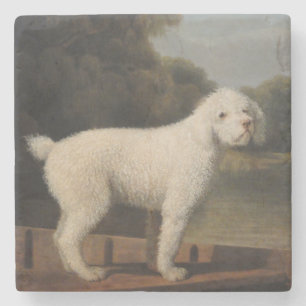 White Poodle in a Punt (door George Stubbs) Stenen Onderzetter