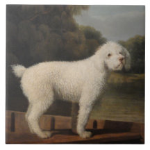 White Poodle in a Punt (door George Stubbs)