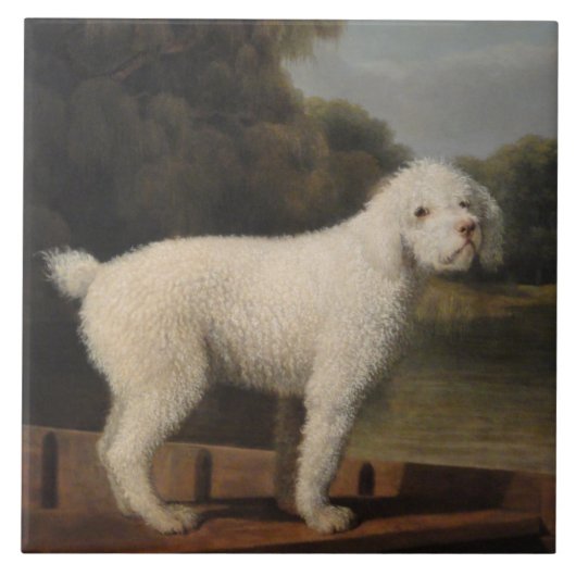 White Poodle in a Punt (door George Stubbs) Tegeltje (Voorkant)