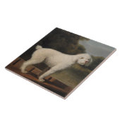 White Poodle in a Punt (door George Stubbs) Tegeltje (Zijkant)