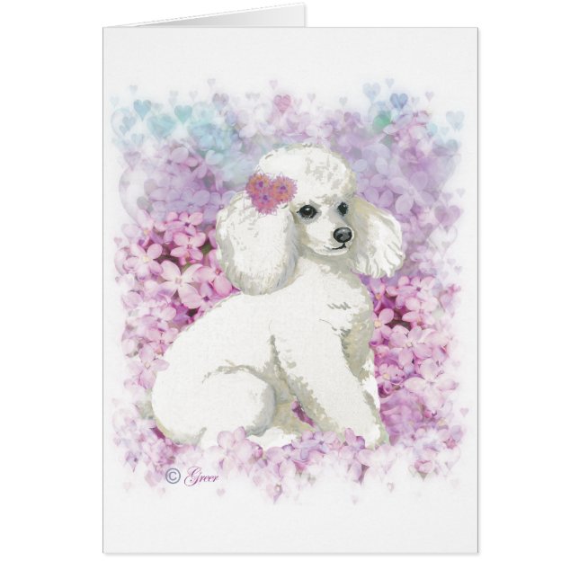 White Poodle in de Lilacs Art en Gifts (Voorkant)