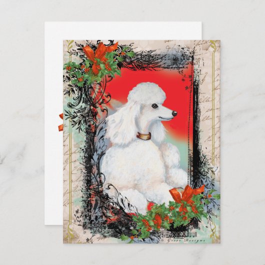 White Poodle-kerstkaart  Feestdagenkaart (Voorkant / Achterkant)