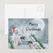 White Poodle Kerstmis Briefkaart (Voorkant / Achterkant)