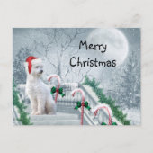 White Poodle Kerstmis Briefkaart (Voorkant)