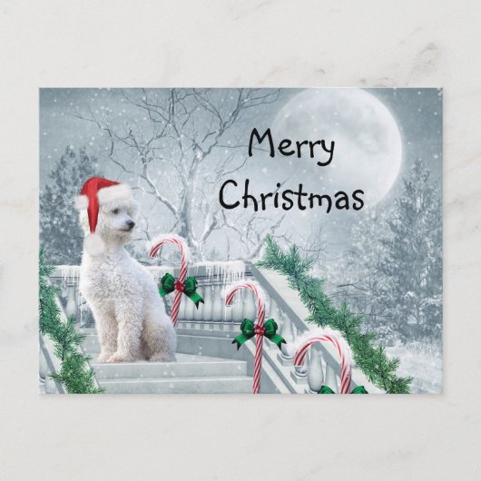 White Poodle Kerstmis Briefkaart (Voorkant)