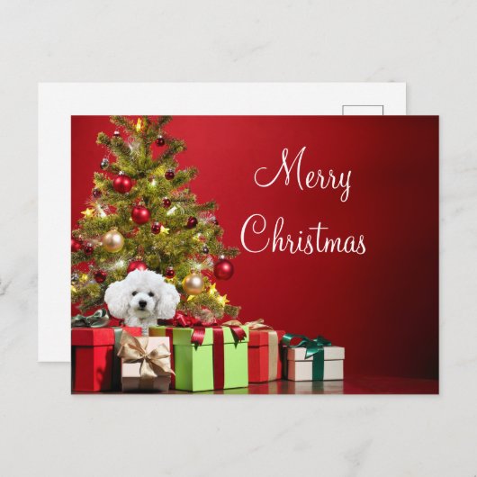 White Poodle Kerstmis Briefkaart (Voorkant / Achterkant)