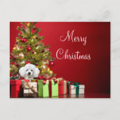 White Poodle Kerstmis Briefkaart (Voorkant)