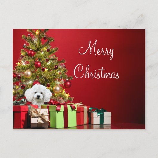 White Poodle Kerstmis Briefkaart (Voorkant)