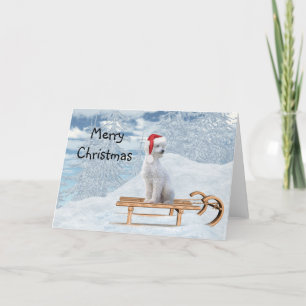 White Poodle Kerstmis Kaart