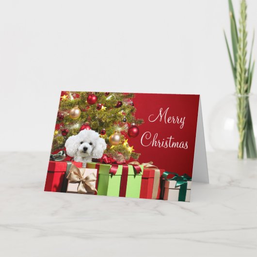 White Poodle Kerstmis Kaart (Voorkant)