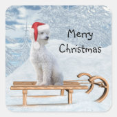 White Poodle Kerstmis Vierkante Sticker (Voorkant)