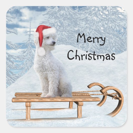 White Poodle Kerstmis Vierkante Sticker (Voorkant)