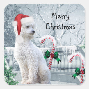White Poodle Kerstmis Vierkante Sticker
