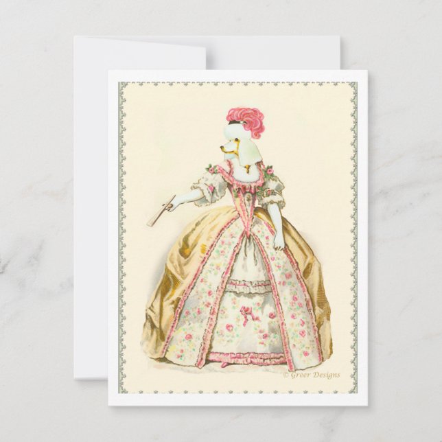 White Poodle Marie Antoinette Franse Mode (Voorkant)