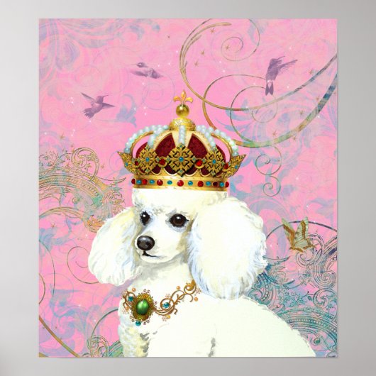 White Poodle Princess Hummingbird Poster Print (Voorkant)