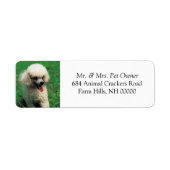 White Poodle Return Address Mail Labels Stickers (Voorkant)