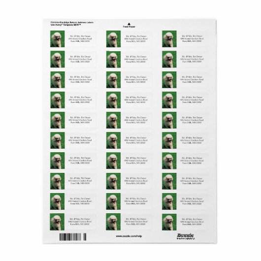 White Poodle Return Address Mail Labels Stickers (Full Sheet)