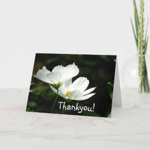 White Poppies Flowers Kaart