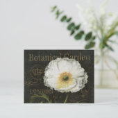 White Poppy Blossom Briefkaart (Staand voorkant)