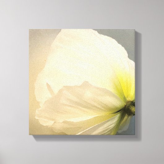 White Poppy Canvas Afdruk (Voorkant)