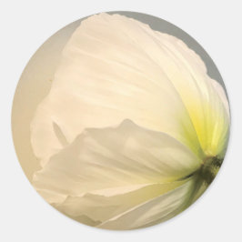 White Poppy Ronde Sticker