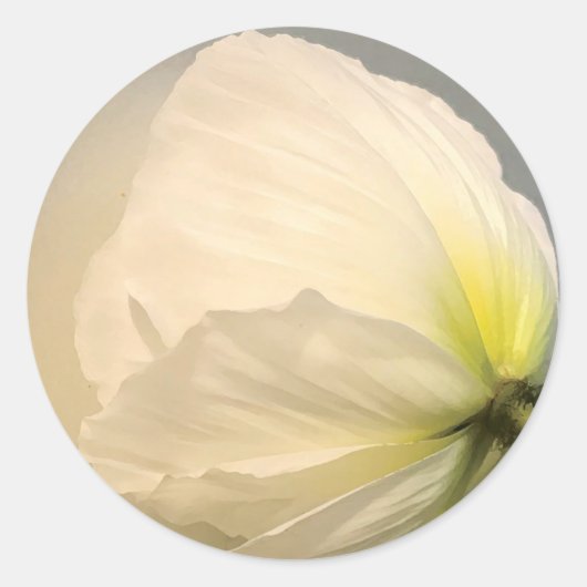 White Poppy Ronde Sticker (Voorkant)