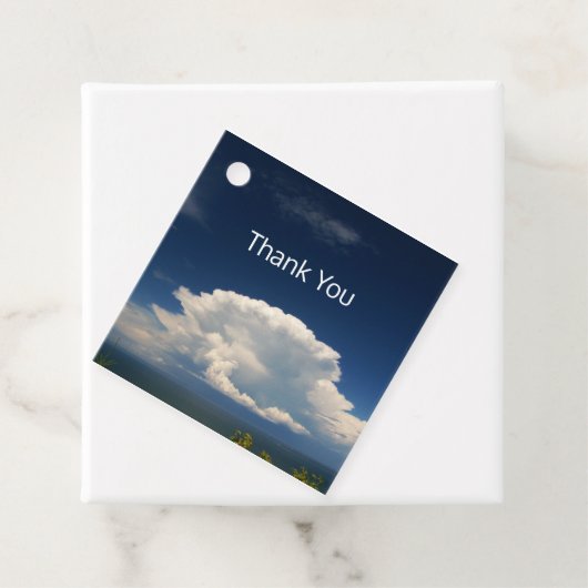 White Puffy Cloud Bedankjes Labels (In situ)