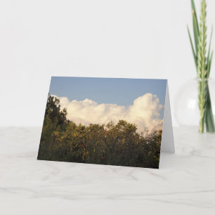 White Puffy Clouds over Treetops Background Kaart