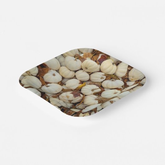 White Pumkin Paper Plate Papieren Bordje (Gebogen)